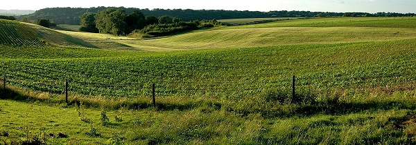 15 c pano uitzicht 04 pano Mescherheicamping 2 600.jpg